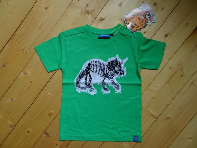 Someone boys T-Shirt Dinosaur green