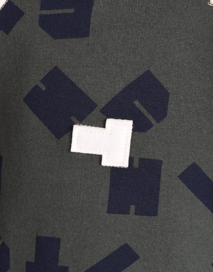 Mitch Edo sweater green