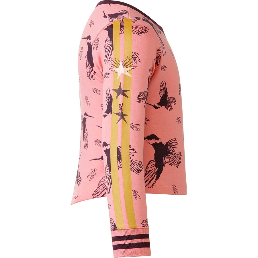 Chaos and Order sweatshirt Nynke rose