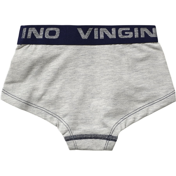 Vingino 2-pack underwear/panties/shorties Blue Island mulitcolor blue